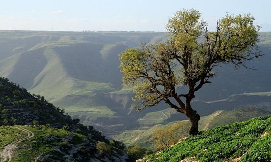 الاردن .. أجواء لطيفة في أغلب المناطق ودافئة في الأغوار 