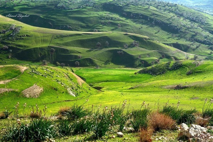 الاردن ..طقس مناسب للرحلات خلال عطلة نهاية الأسبوع 