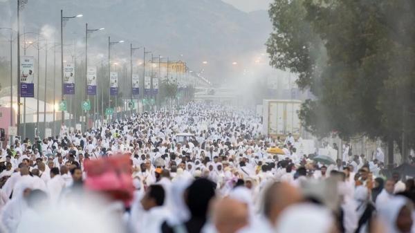 قصة أشجار عرفات.. نبتت في الهند وقدمت من السودان