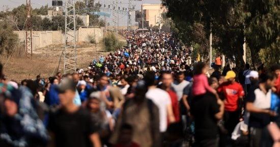 الخارجية الأميركية: لم نر جرائم حرب أو إبادة في غزة