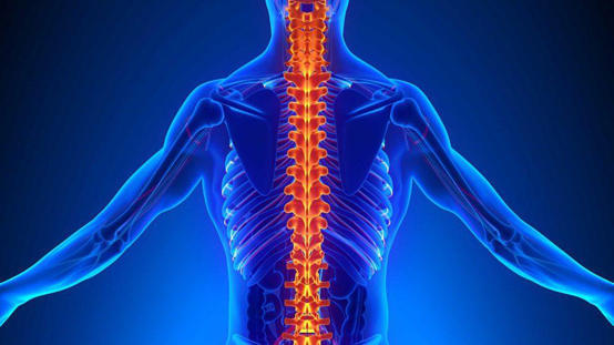 3 نصائح لحماية العمود الفقري من الانحناء مع تقدّم العمر