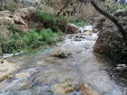 مطالب بإدراج راجب ضمن المدن السياحية العالمية